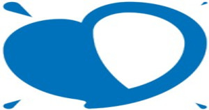 Polish Humanitarian Action (PAH)